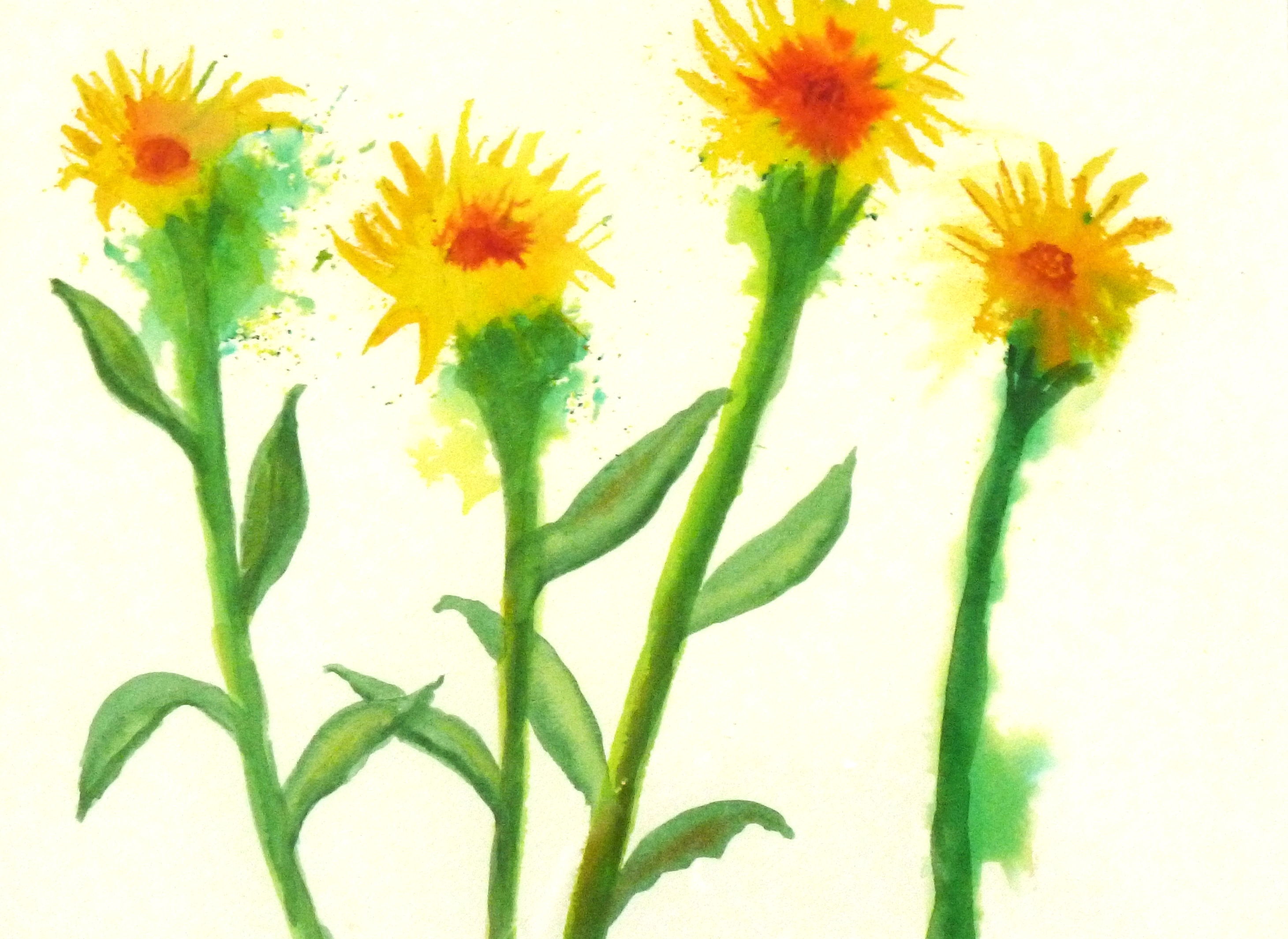 yellowflowers2.jpg